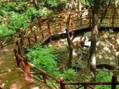 -大岭沟猕猴桃谷风景区