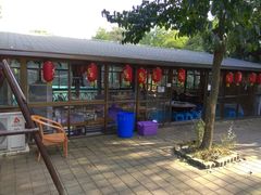 -张鸟园农家乐(张鸟园店)