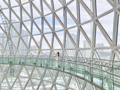 -陕西自然博物馆