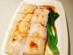 -南枝记