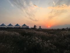 -敕勒川草原文化旅游区