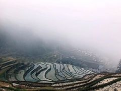 -紫鹊界梯田景区