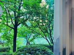 -石燕湖生态旅游景区