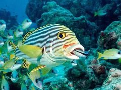 -多彩贵州城极地海洋世界