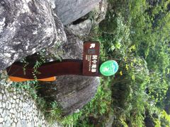 iphone_upload_pic-龙湾潭国家森林公园