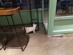 -greenjoy绿享轻食(宁海路店)
