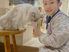 -藏猫猫咖啡主题馆(中央大道店)