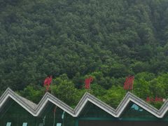 -牛背梁国家森林公园
