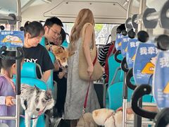 -帕帕拉兹宠物(亚洲旗舰店)