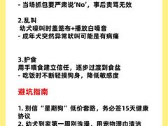 -翊宠yipet猫狗购宠庄园犬舍•猫舍