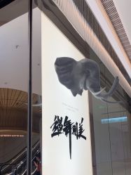 -YASAKI国际舞蹈中心