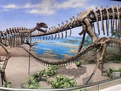 -延庆地质公园博物馆