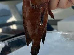 -铭轩中餐厅·海南菜·粤菜(亚龙湾瑞吉店)