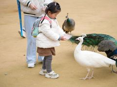 -杭州野生动物世界