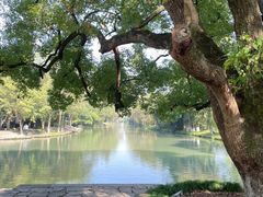 -西溪国家湿地公园