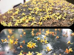 -狼山风景名胜区