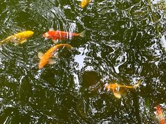 -湖洞水自然风景区