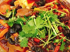 精品毛血旺-成都驻京办餐厅(蜀都宾馆店)