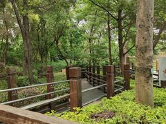 -大湾区中央湿地公园