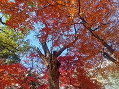 -青岛崂山太清宫