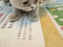 -玖佳宠物医院·泌尿·骨科·中老年病