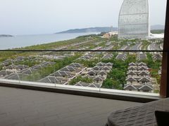 -味餐厅·海鲜·火锅·自助餐