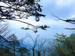 -峨眉山风景名胜区
