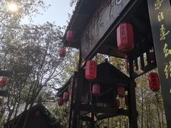 -合肥滨湖国家森林公园