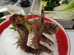 -红鼎豆捞·非遗鲍皇汤火锅(宝丰路店)