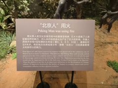 -北京周口店北京人遗址博物馆