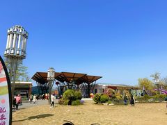 -上海长兴岛郊野公园