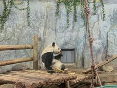 -深圳野生动物园