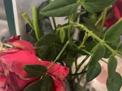 -第101座花园餐厅(湖滨88店)