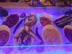 -元一希尔顿酒店·禅自助餐厅·啤酒花园