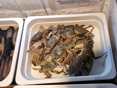 -相约海中金海鲜肥牛自助烤肉火锅(上下九店)