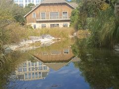 -上海吴淞炮台湾国家湿地公园