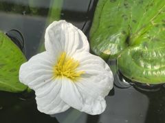 -北京植物园-展览温室