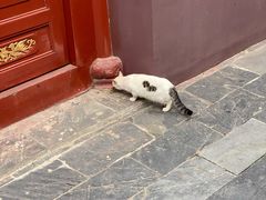 -长春观