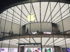 -Apple零售店(新街口店)
