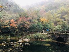 -白云源风景区