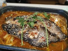 -蜀腾川·火锅鱼.烤鱼(新世界城店)