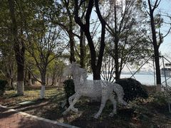 -金鸡湖桃花岛