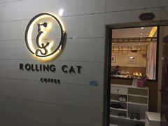 -滚猫咖啡·猫咖·猫友好撸猫(未来城店)