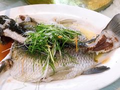 -顺德美食坊(南沙分店)