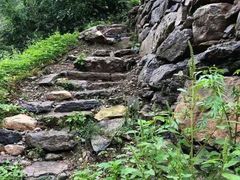 -齐王寨景区