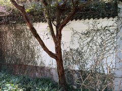 -蒋氏故居