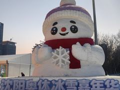 -盛京大奥莱(沈阳奥体店)