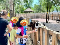 -水上乐园·欢乐世界