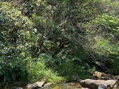 -广州白江湖森林公园