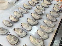 -大湾区中央湿地公园-十九涌